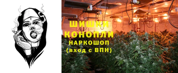 соль ск Михайлов