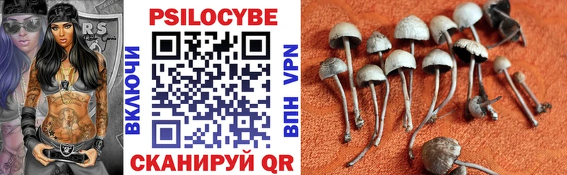 купить наркоту  Саров  Псилоцибиновые грибы прущие грибы 